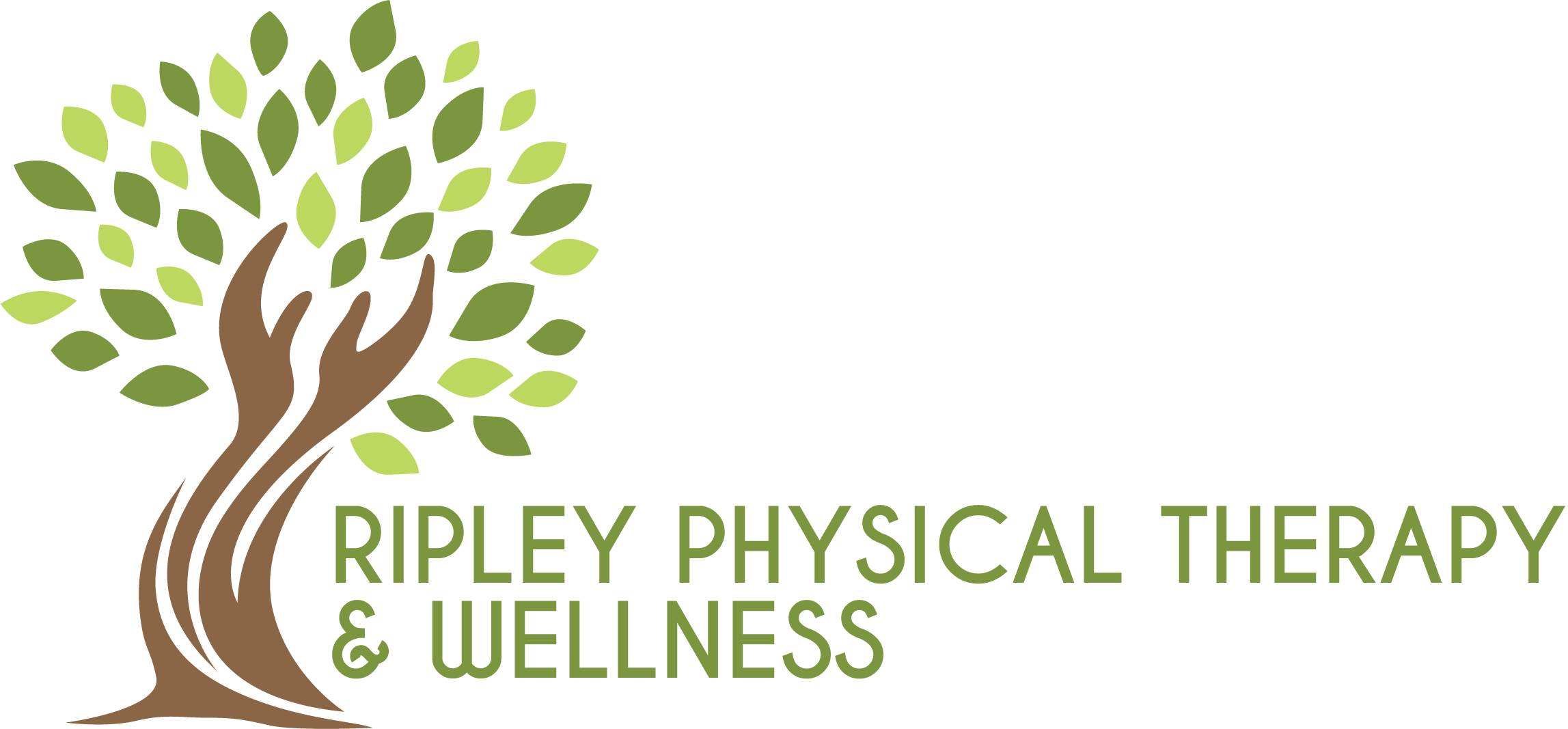 Ripley Physical Therapy and Wellness